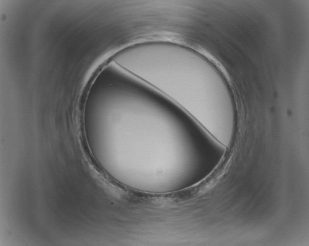 X0000078861085200611130953