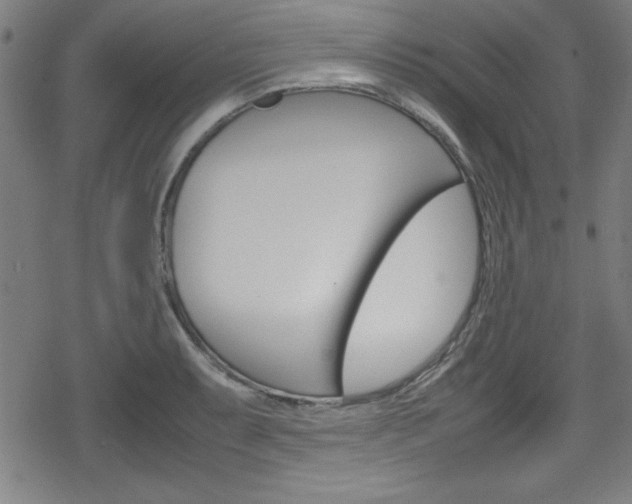 X0000078861087200611130953