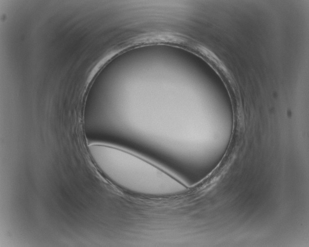X0000078861089200611130953
