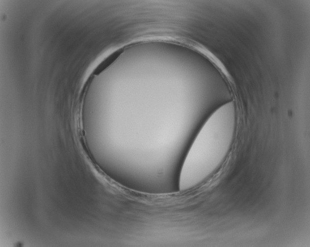 X0000078861101200611130953