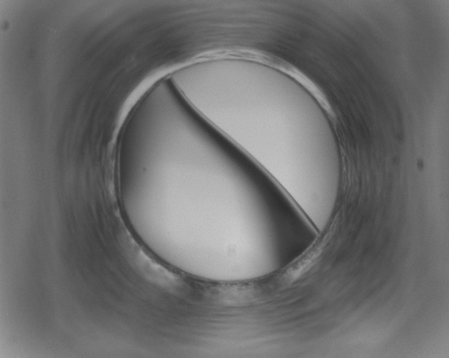 X0000078861102200611130953