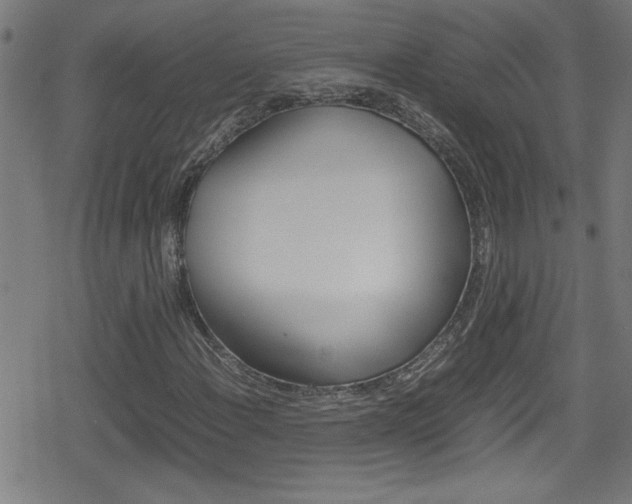 X0000078861108200611130952