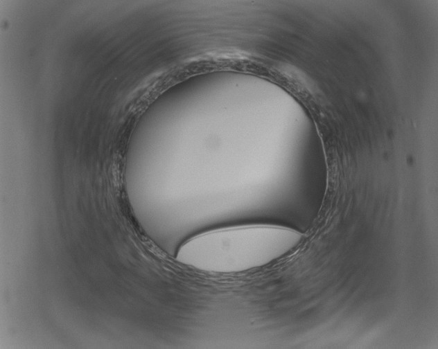 X0000078861110200611130952