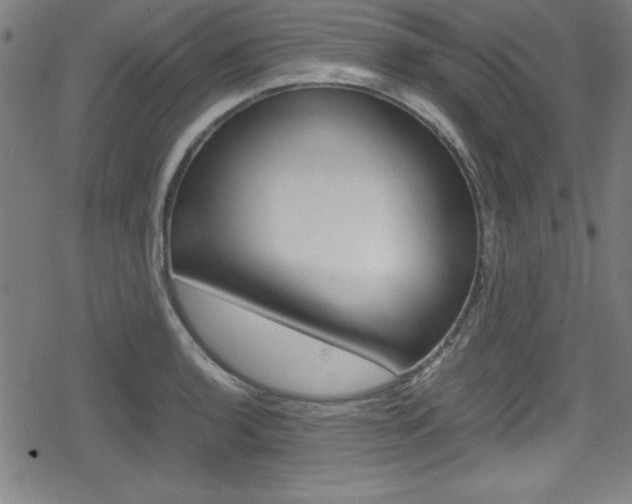 X0000078861136200611130953