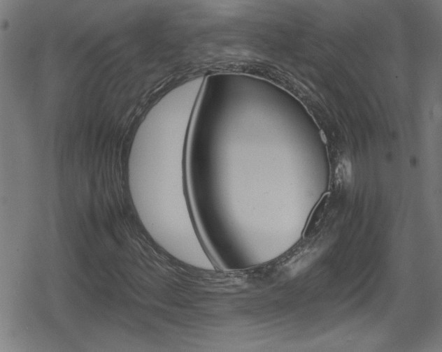 X0000078861156200611130952