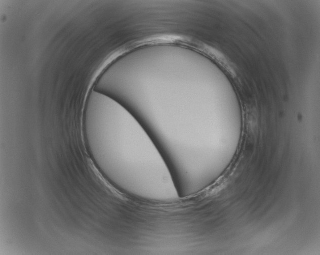 X0000078861186200611130952