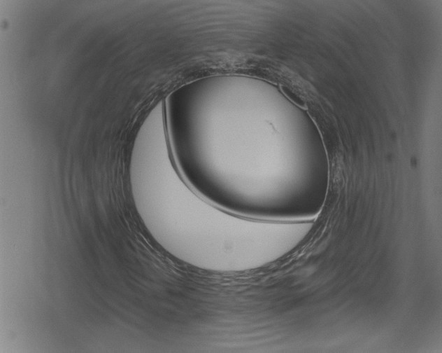 X0000078861202200611130951