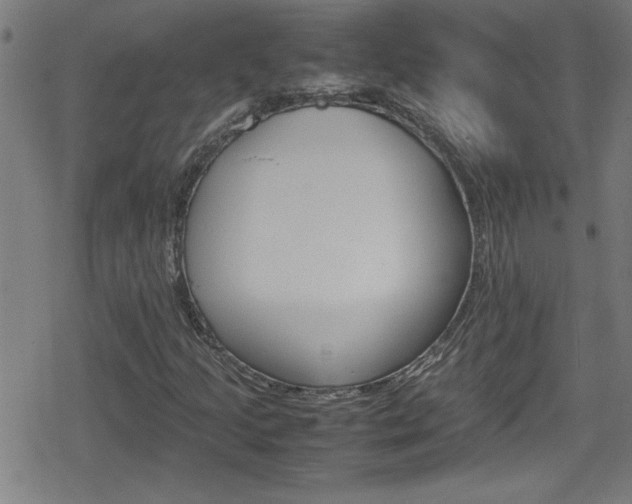 X0000078861205200611130951