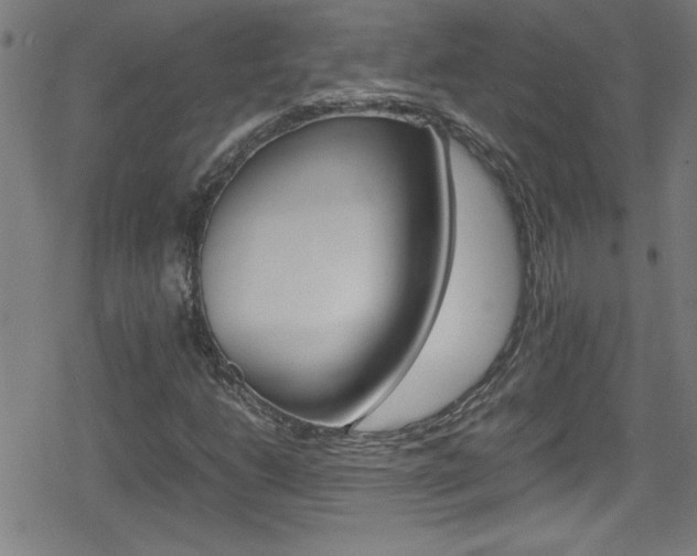 X0000078861206200611130951