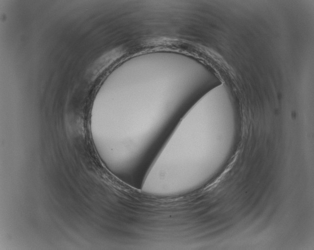 X0000078861209200611130951