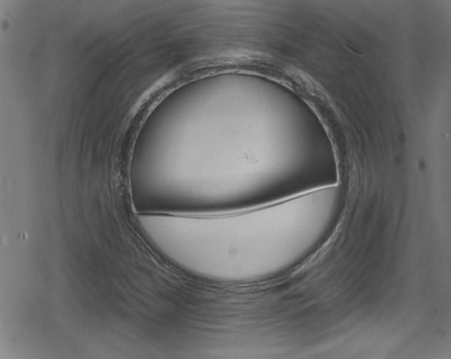 X0000078861210200611130951