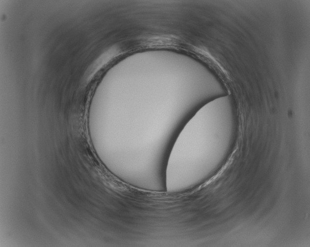 X0000078861211200611130951