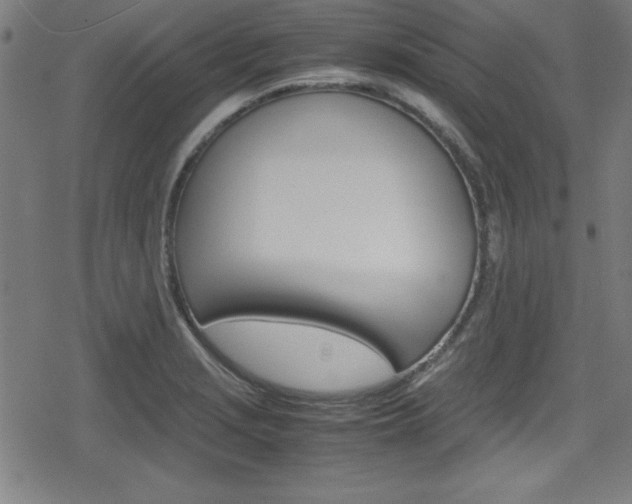 X0000078861229200611130951