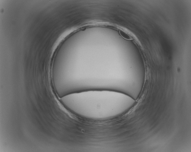 X0000078861231200611130951