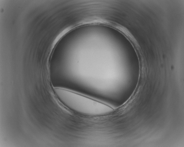 X0000078861242200611130951
