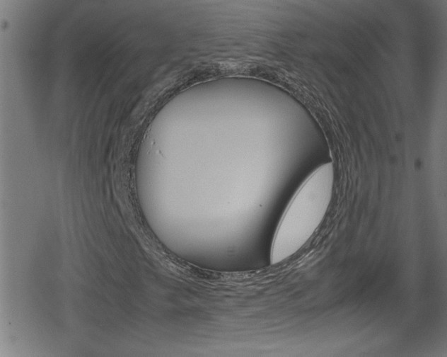 X0000078861249200611130951