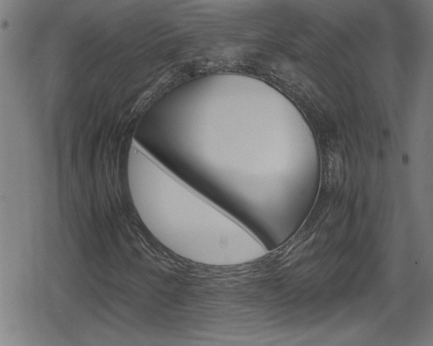 X0000078861250200611130951