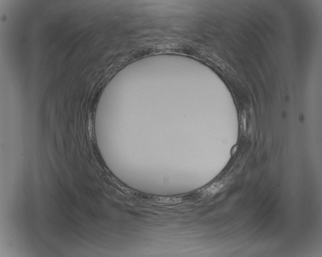 X0000078861251200611130951