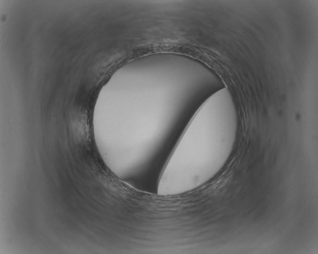 X0000078861252200611130951