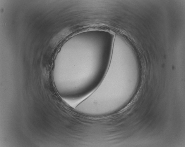 X0000078861257200611130951