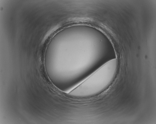 X0000078861261200611130950