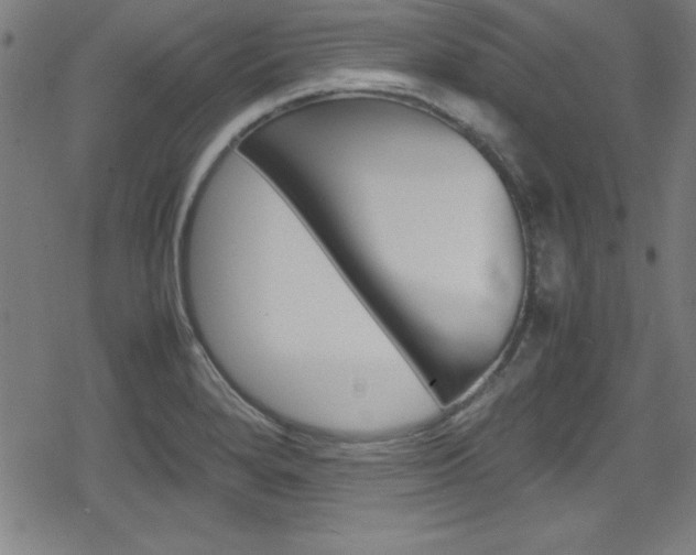 X0000078861280200611130950