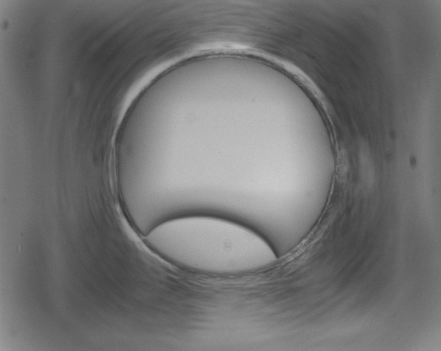 X0000078861295200611130950