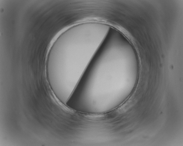 X0000078861296200611130950