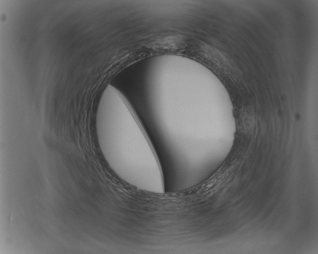 X0000078861297200611130949
