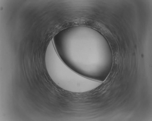 X0000078861298200611130949
