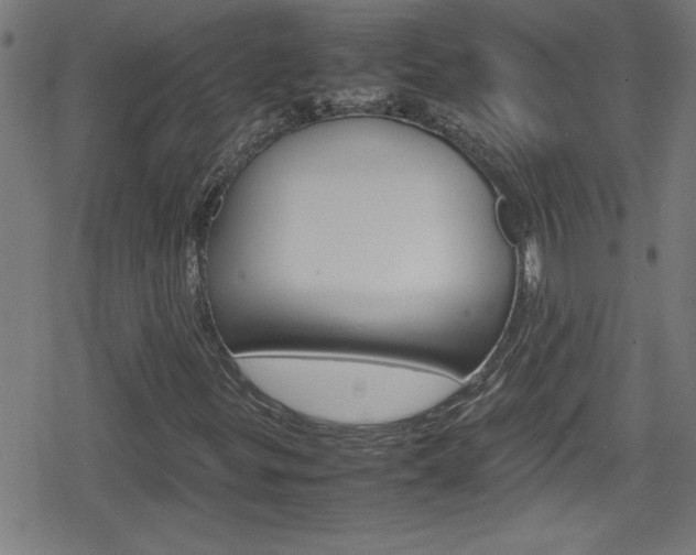 X0000078861299200611130949