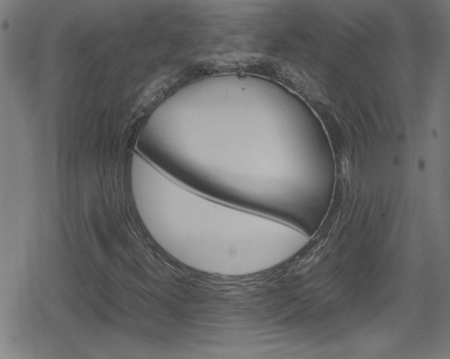 X0000078861300200611130949