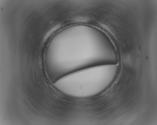 X0000078861307200611130949