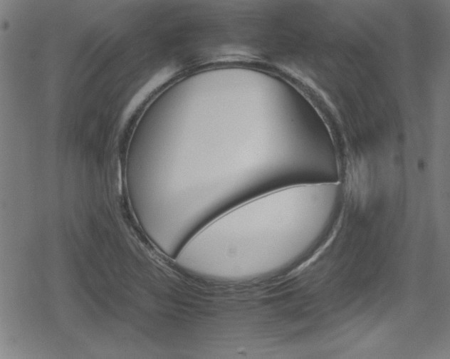 X0000078861317200611130949