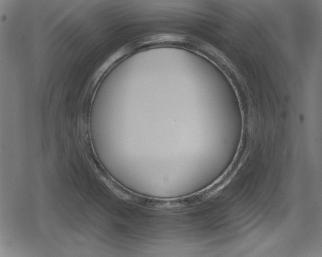 X0000078861321200611130950