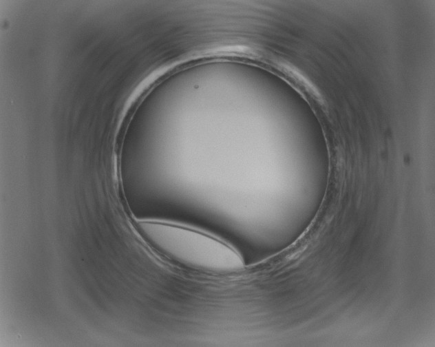 X0000078861324200611130950