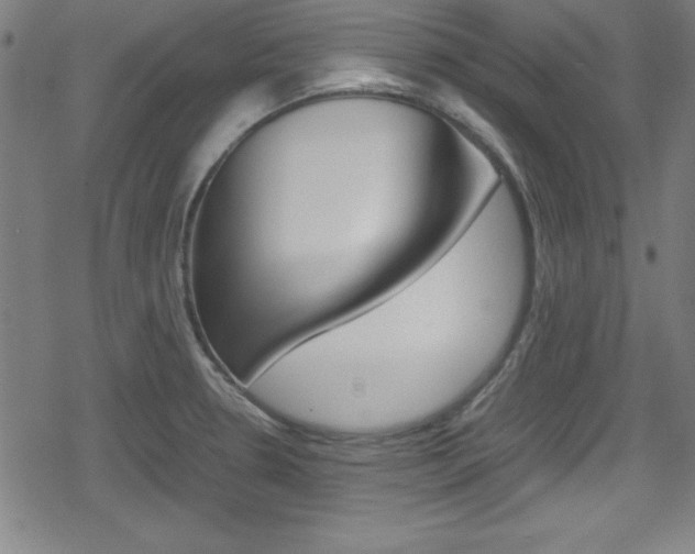 X0000078861330200611130950