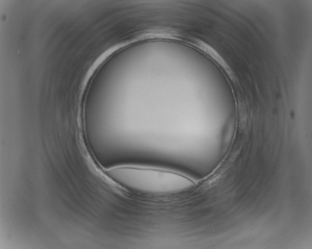 X0000078861339200611130950