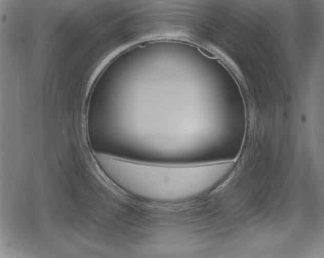 X0000078861340200611130950