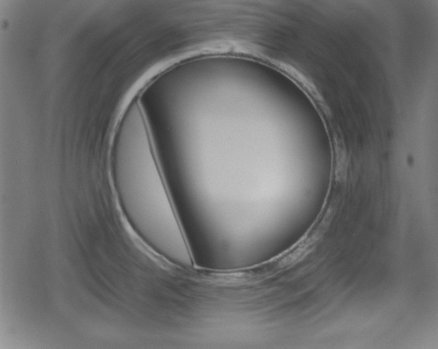 X0000078861342200611130950