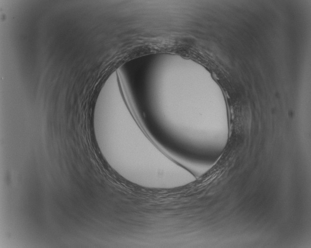 X0000078861345200611130949