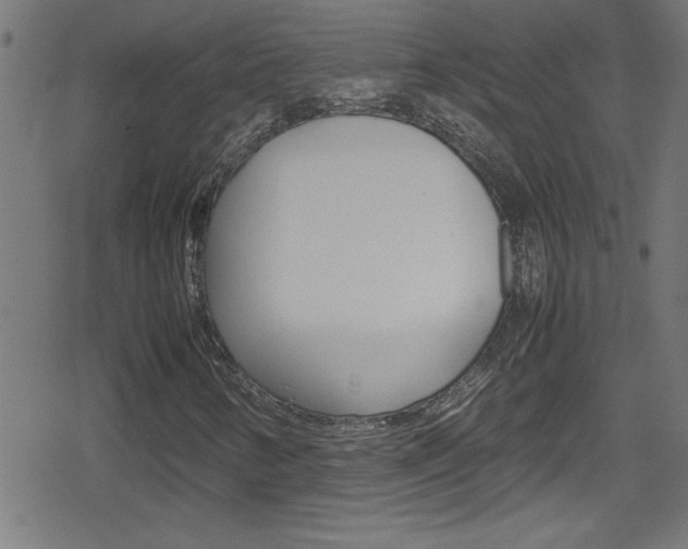 X0000078861346200611130949