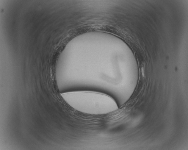 X0000078861347200611130949