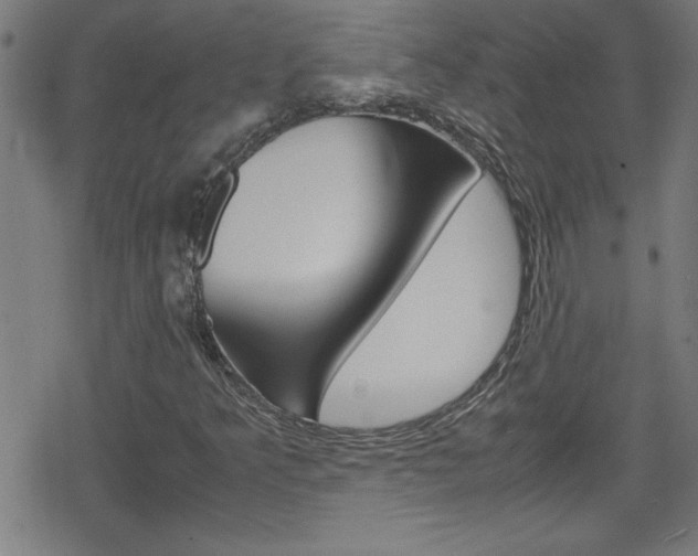 X0000078861349200611130949