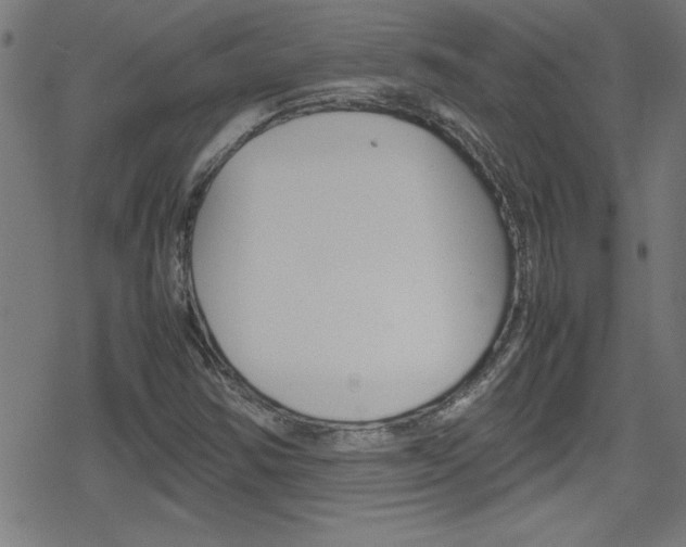 X0000078861354200611130949