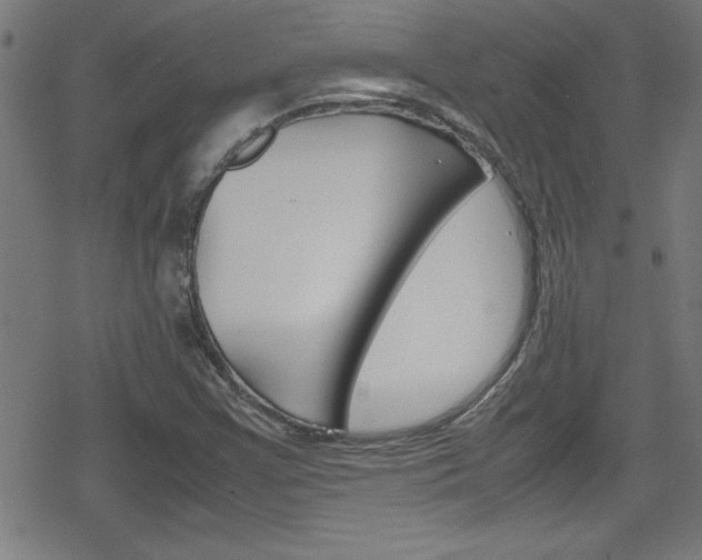 X0000078861355200611130949