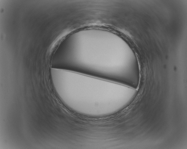 X0000078861359200611130949