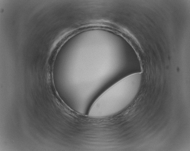 X0000078861360200611130949