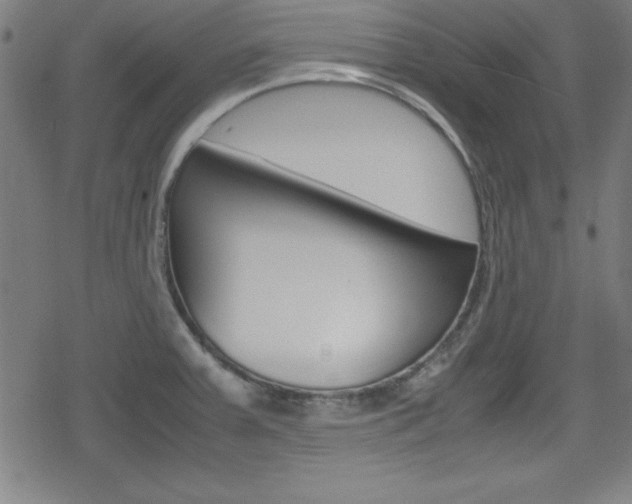 X0000078861379200611130949