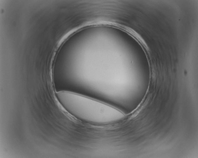 X0000078861388200611130948